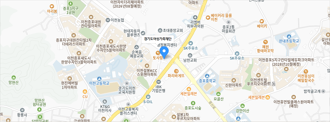 여성가족재단 카카오맵 지도
